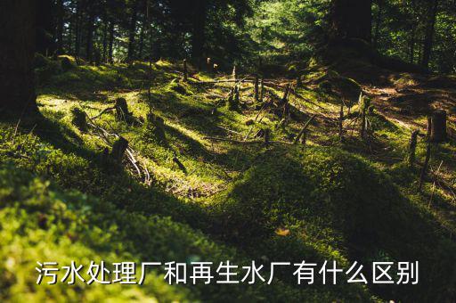什么是再生水廠，污水處理廠和再生水廠有什么區(qū)別
