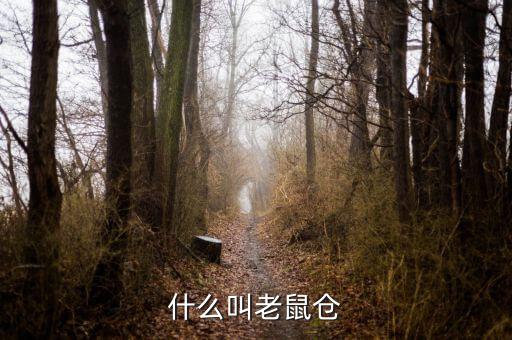 什么是老鼠倉(cāng)圖形，股票中什么是老鼠倉(cāng)呢簡(jiǎn)明即可