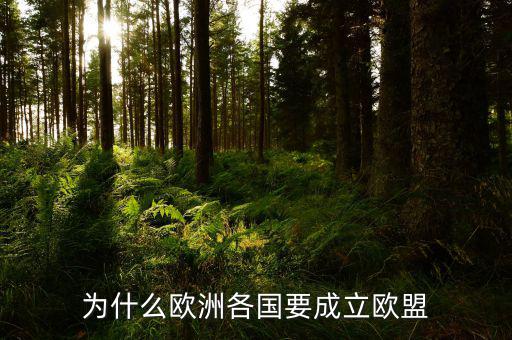 為什么歐盟很多國家和美國結(jié)盟，為什么歐洲各國要成立歐盟