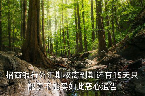為什么不能購(gòu)買(mǎi)招商銀行期權(quán)，招商銀行外匯期權(quán)怎么了獲利200點(diǎn)還賠錢(qián)