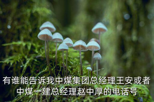 中煤王安是什么級別，王安被稱為什么