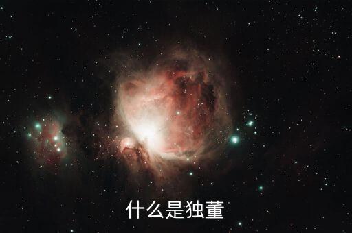 為什么董建華獨董，我國上市公司的獨立董事的來源主要有哪些
