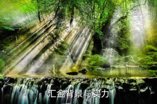 江蘇匯金控股什么背景，匯金公司是怎么回事