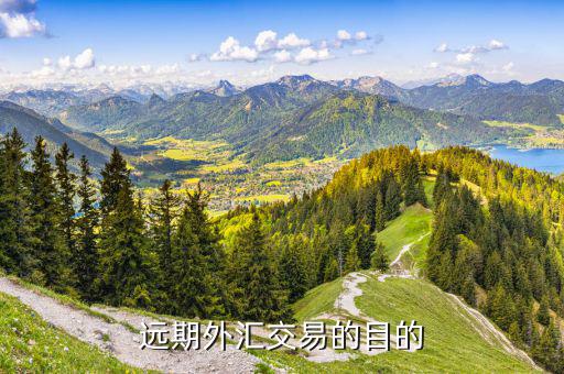 遠(yuǎn)期外匯交易的目的是什么，遠(yuǎn)期外匯交易的目的有哪些