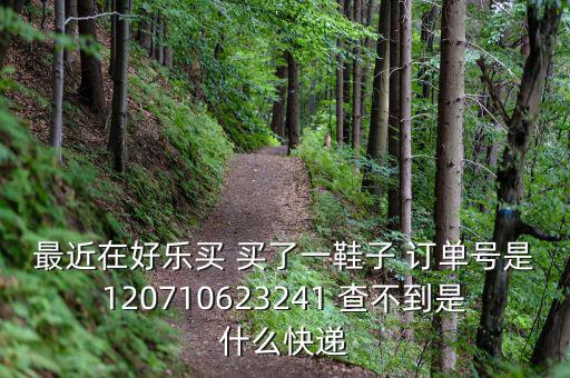 好樂買發(fā)什么快遞，我在好樂買用網(wǎng)銀付款買了雙鞋子請問他們都用什么快遞發(fā)貨