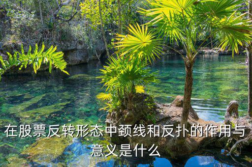 股票反撲是什么意思，在股票反轉(zhuǎn)形態(tài)中頸線和反撲的作用與意義是什么