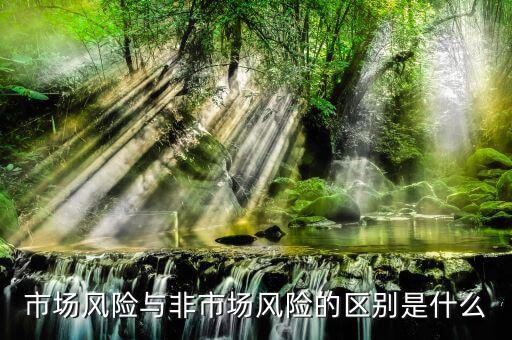 市場風險與非市場風險的區(qū)別是什么