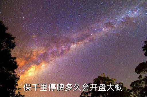 保千里什么時間上市，保千里什么時候復牌