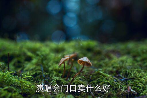 演唱會(huì)門口賣什么好