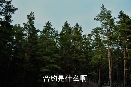 合約是什么意思，合約的意思是什么