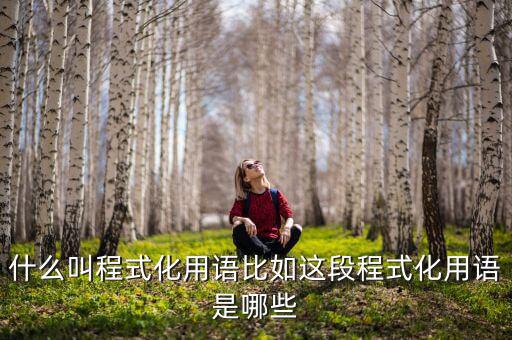 什么是程式化，幼兒園程式化活動是什么意思