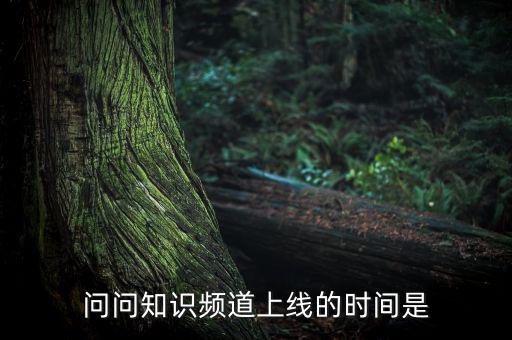愛(ài)網(wǎng)貸平臺(tái)什么時(shí)候上線，問(wèn)問(wèn)知識(shí)頻道上線的時(shí)間是
