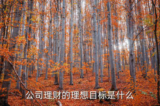 理財目標是什么，公司理財?shù)睦硐肽繕耸鞘裁?/></a></span><span id=
