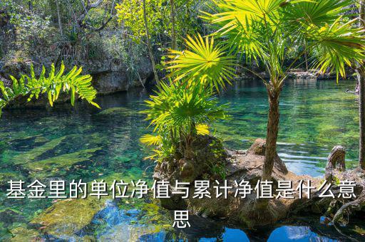 基金凈值和累計凈值是什么，基金里的單位凈值與累計凈值是什么意思