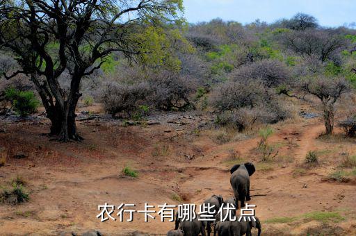 福農(nóng)卡有什么好處，農(nóng)行卡有哪些優(yōu)點(diǎn)