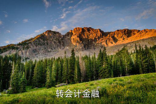 什么是外匯飽和，國外網(wǎng)友說要轉(zhuǎn)外幣給我叫我轉(zhuǎn)給她國內(nèi)的朋友她國內(nèi)的朋友銀