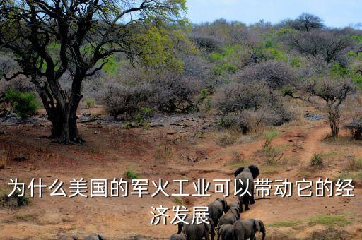 為什么美國的軍火工業(yè)可以帶動它的經濟發(fā)展