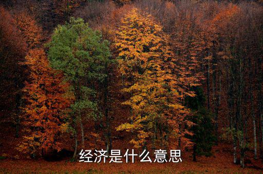 什么經(jīng)濟(jì)，什么是商品經(jīng)濟(jì)