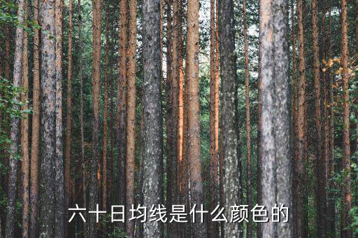 60日均線是什么顏色，5日10日60日線是什么怎么看是什么顏色