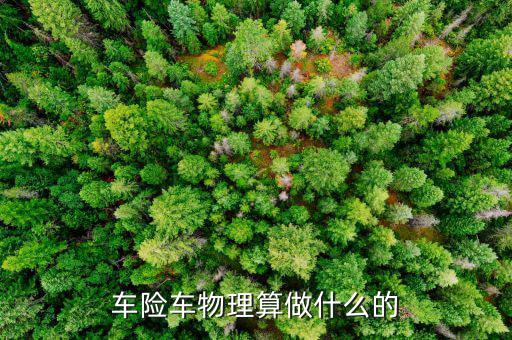 車險(xiǎn)車物理算做什么的