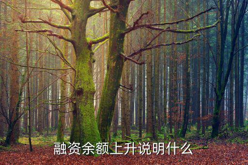 濰柴融資額度很高說明什么，融資余額上升說明什么