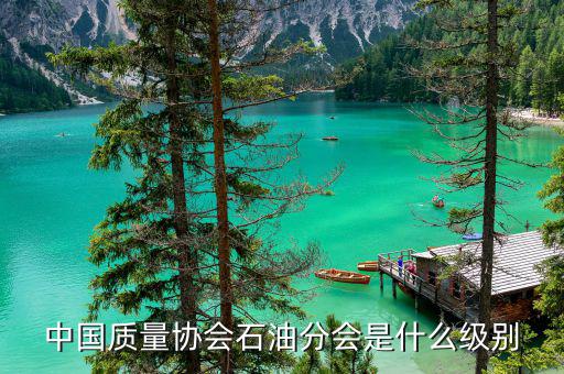 中質(zhì)協(xié)獎屬于什么級別，國藝杯屬于什么級別的獎項