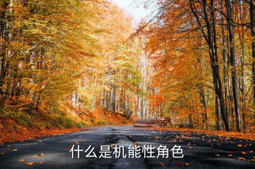 什么是名義剛性，什么是機(jī)能性角色