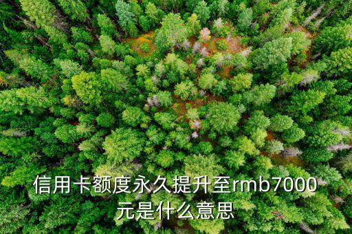 信用卡永久額度是什么意思，信用卡額度永久提升至rmb7000元是什么意思