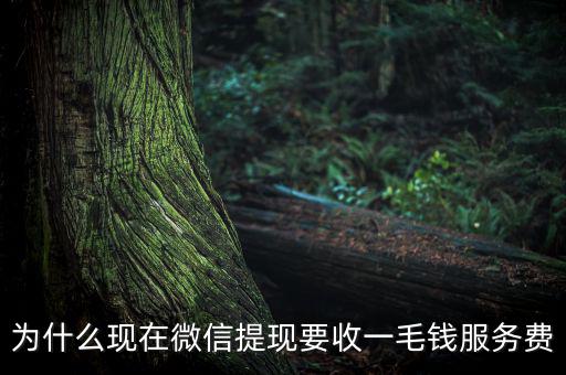 微信提現(xiàn)為什么要收費(fèi)，為什么現(xiàn)在微信提現(xiàn)要收一毛錢服務(wù)費(fèi)