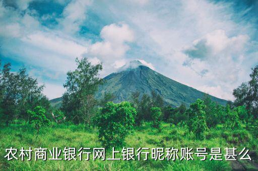吳江農(nóng)村商業(yè)銀行用戶(hù)名是什么，銀行用戶(hù)名是什么