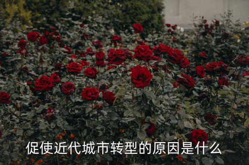 為什么城鎮(zhèn)化要轉型，促使近代城市轉型的原因是什么