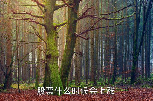 股票在什么情況下才會漲，股票什么時(shí)候會上漲