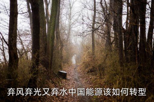 什么是能源轉(zhuǎn)型，棄風(fēng)棄光又棄水中國能源該如何轉(zhuǎn)型
