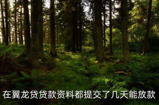 翼龍貸什么時(shí)候放項(xiàng)目，在翼龍貸貸款資料都提交了幾天能放款