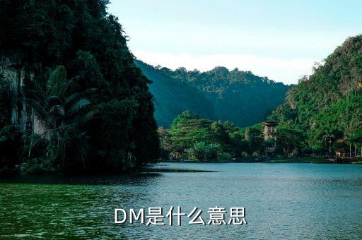 什么是dm理財(cái)，DM在國際金融里面是什么意思