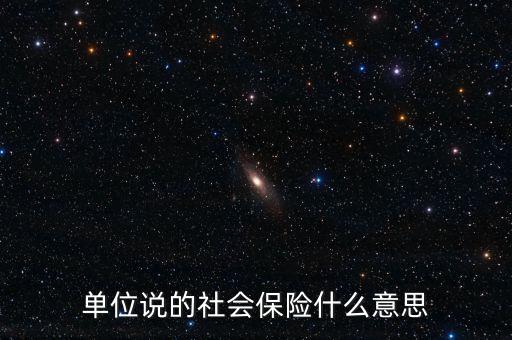 單位社保是什么，單位說的社會保險什么意思