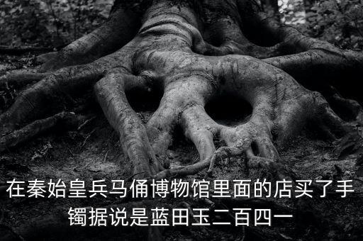 在秦始皇兵馬俑博物館里面的店買(mǎi)了手鐲據(jù)說(shuō)是藍(lán)田玉二百四一