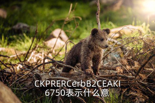 分類調(diào)控是什么意思，CKPRERCerbB2CEAKI6750表示什么意