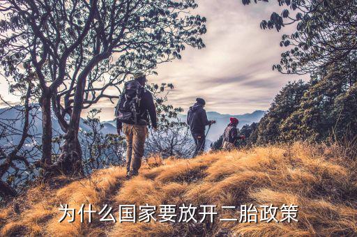 為什么國(guó)家要放開二胎政策