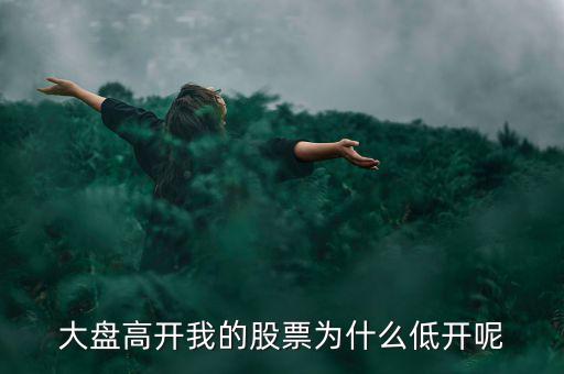 大盤(pán)高開(kāi)我的股票為什么低開(kāi)呢