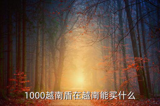 1越南盾能買什么，1盾越南幣能買什么