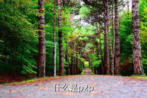 p2p平臺什么意思，什么是P2P