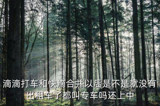 滴滴快滴合并叫什么，滴滴快的合并后叫什么