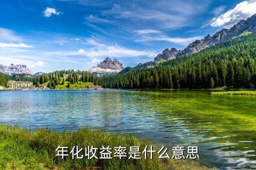 14日年化收益率是什么意思，年化收益率什么意思