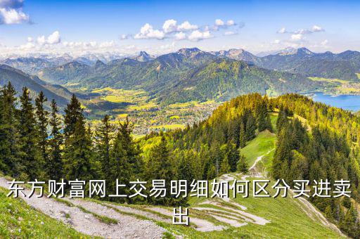 東方財(cái)富網(wǎng)上交易明細(xì)如何區(qū)分買(mǎi)進(jìn)賣(mài)出