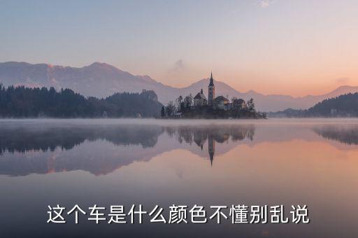 尼日利亞的國車是什么顏色，GIN的車子是什么牌子什么顏色的