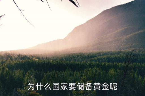 黃金為什么是儲備，國家為什么要儲備黃金不儲備鉑金鈀金這些也值錢啊為什么只