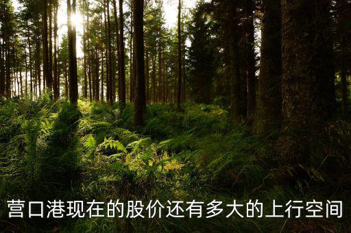 營(yíng)口港為什么漲停，營(yíng)口港股票怎么了