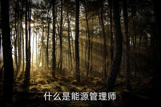 什么是能源沙，煤沙是什么是煤沒有燃燒之前篩選出來的還是燃燒過之后產(chǎn)生的