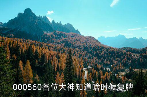皖通科技什么時候復(fù)牌，600565什么時候復(fù)牌開市